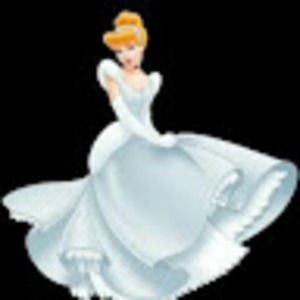 Meet your Posher, Snow